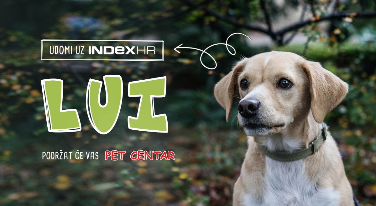 Preslatki Lui imao je težak život. Sada želi samo jedno, pomozi mu to ostvariti