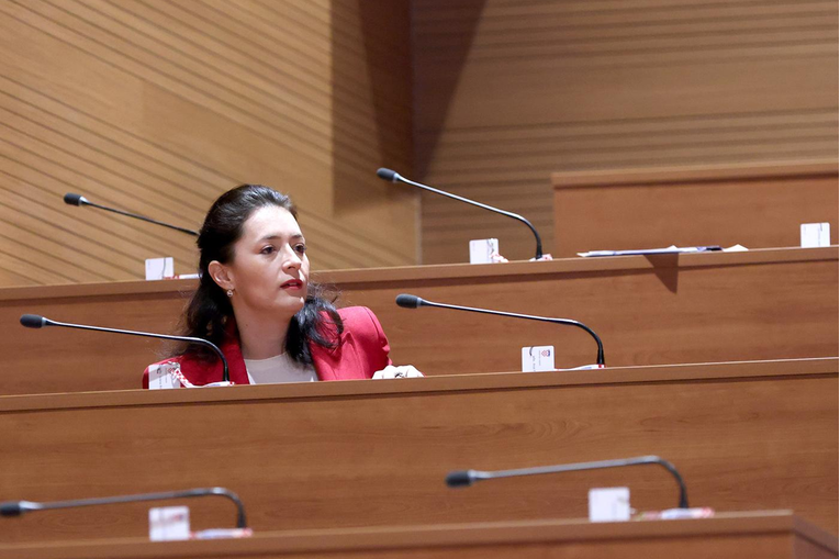 Saborska zastupnica izabrana za novu šeficu brodsko-posavskog SDP-a