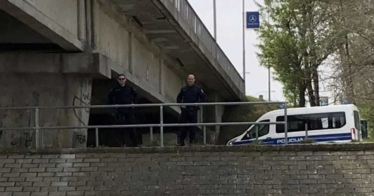 Srna kod Varaždina udarila u dječaka, on pao u kanal. Policija ga spasila od utapanja