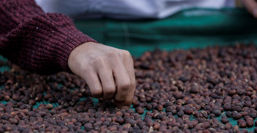 Gvatemala istražuje dječji rad na plantažama kave Nespressa i Starbucksa