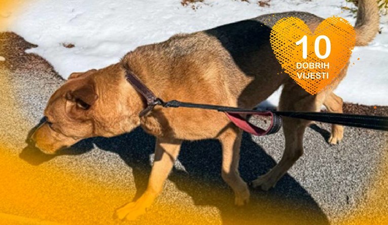 10 dobrih vijesti tjedna