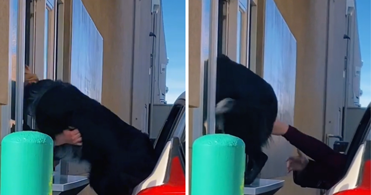 Pas se popeo kroz prozor u drive in restoran, video je izazvao raspravu