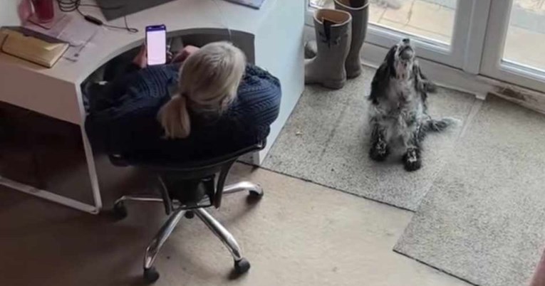 Pas lajanjem pomogao vlasnici odabrati brojeve lota. Video oduševio internet
