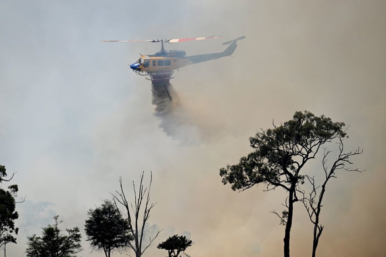 Australci tuže vladu UN-u zbog izvoza ugljena i plina. "Klimatske promjene ubijaju"