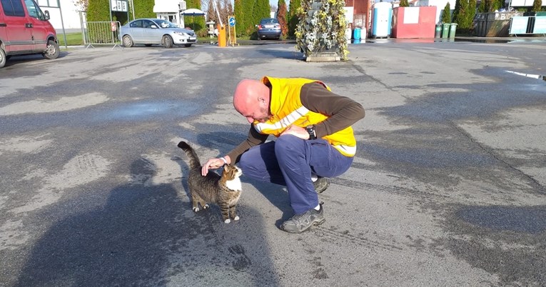 Una je prije godinu i pol pronađena na reciklažnom dvorištu. I dalje tamo živi