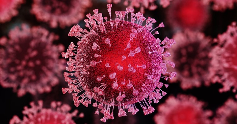 Jesu li virusi živi i što je uopće život?