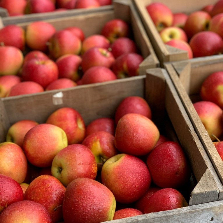 Deset vrsta voća koje ne podižu šećer i pozitivno utječu na zdravlje srca