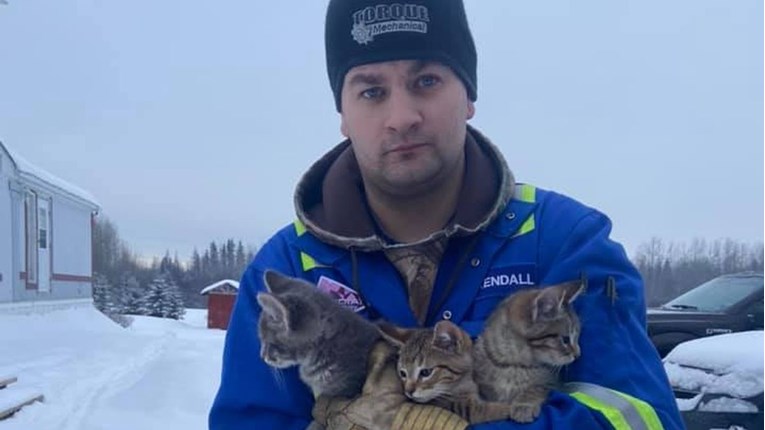 U snijegu našao tri smrznuta mačića, spasio ih je pomoću vruće kave