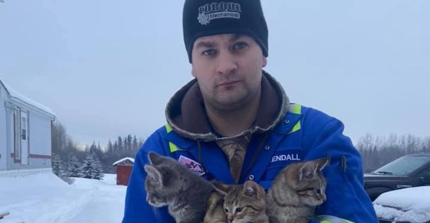 U snijegu našao tri smrznuta mačića, spasio ih je pomoću vruće kave