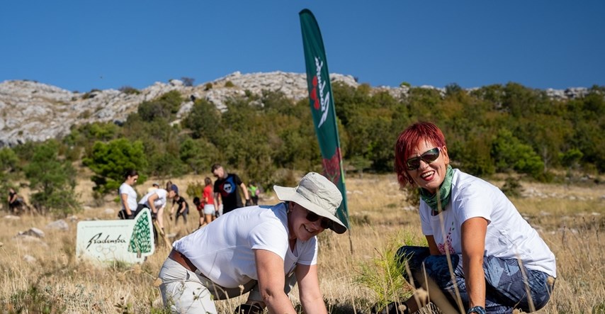 U akciji Boranka u Dalmaciji od 2018. posađeno više od 130.000 stabala