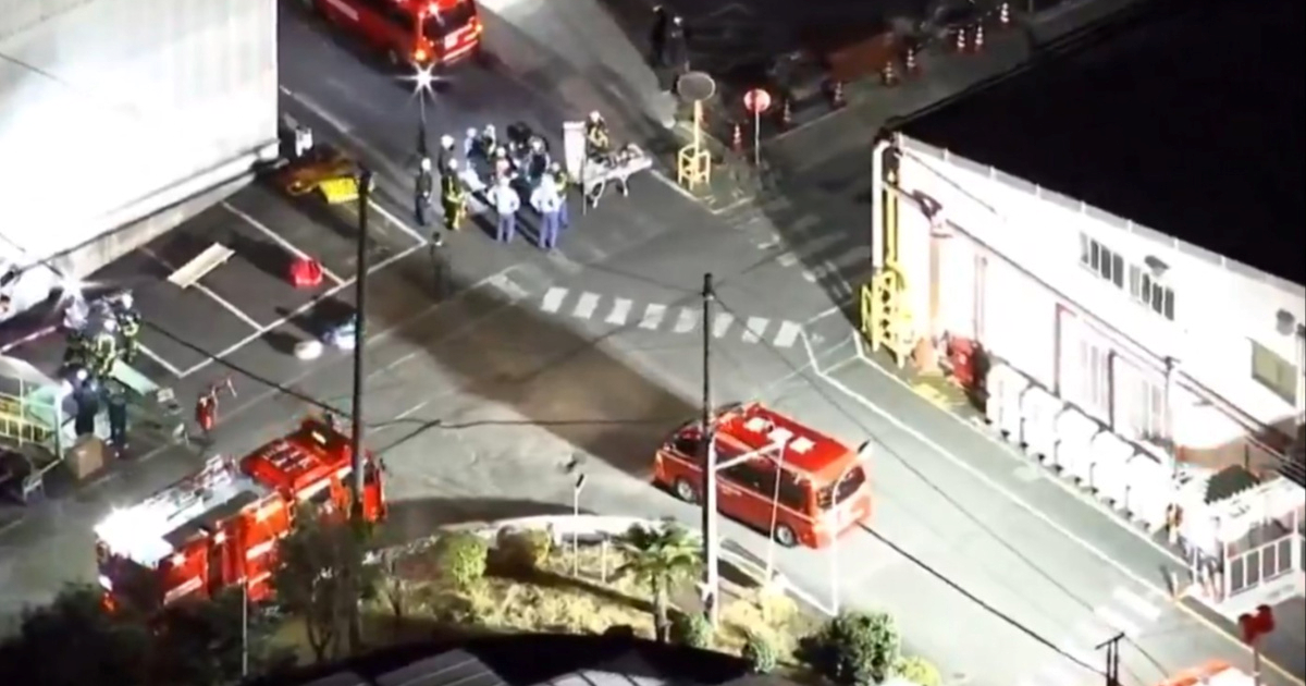 Napadač nožem i izbjeljivačem ozlijedio radnike u tvornici u Japanu