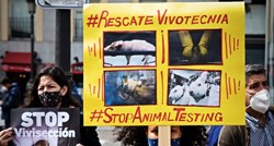 Eurozastupnici traže akcijski plan za okončanje uporabe životinja u istraživanjima