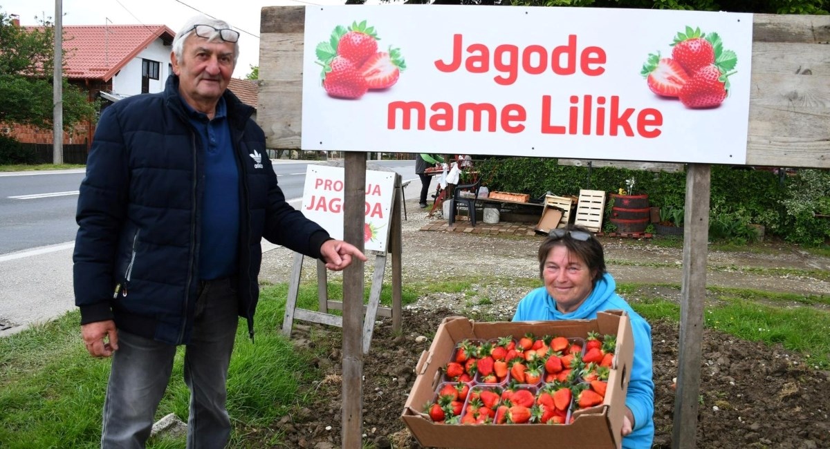 Njihove su jagode hit: "Svi ih vole, pogotovo igrači Dinama i Varaždina"