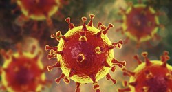 Singapurski znanstvenici otkrili soj koronavirusa koji izaziva blaže simptome