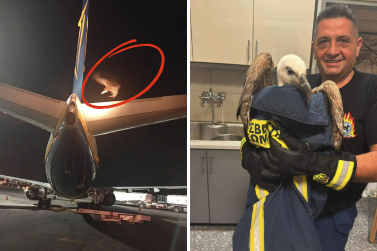 FOTO Ryanair trebao poletjeti s Krete, a onda je na avion sletio sup