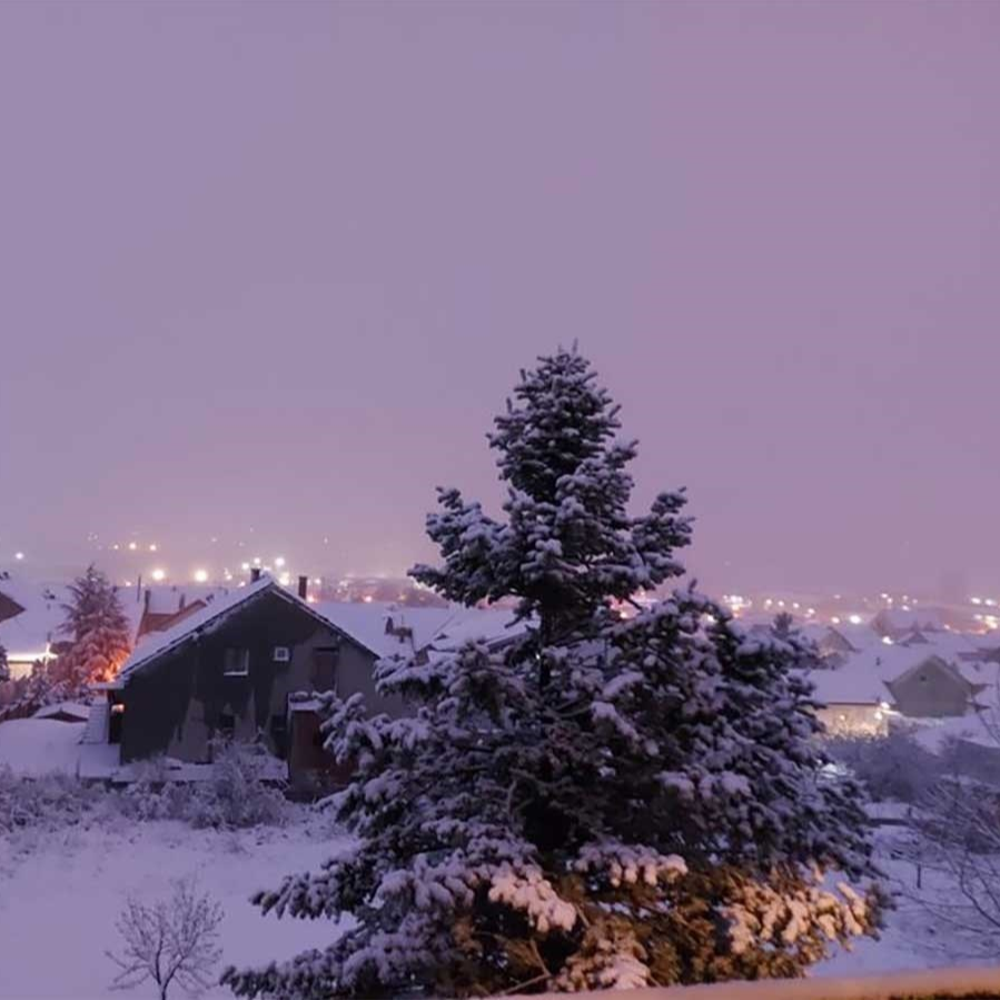 U Beogradu najmanje 20 cm snijega, puno je nesreća, drvo palo na dvije curice