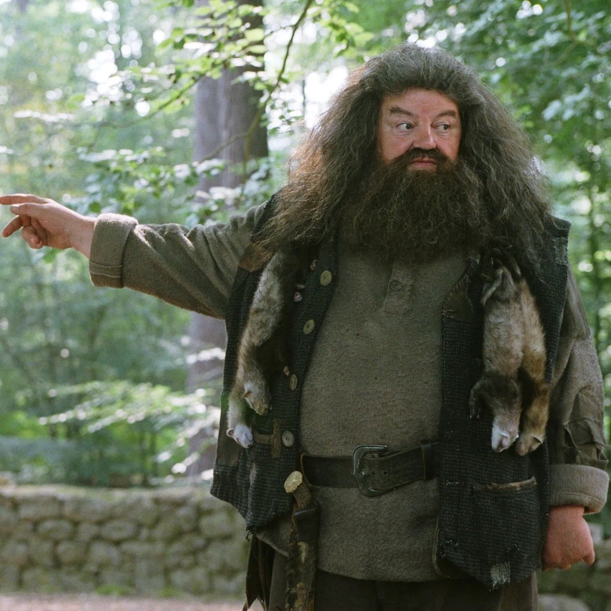 HBO objavio fotku novog Hagrida. Neki su oduševljeni, drugima je katastrofa