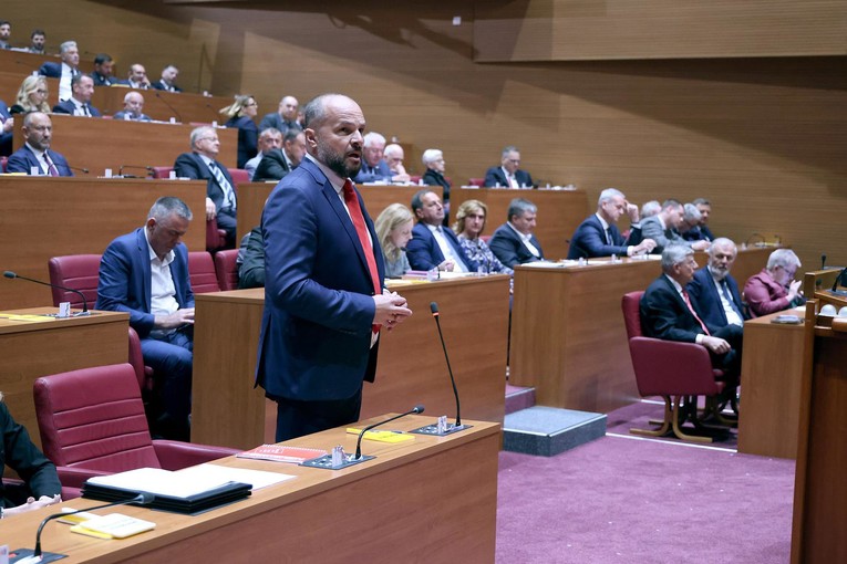 Hajdaš Dončić: Plenković je spalio tri kandidata za Ustavni sud. Nitko ne zna zašto