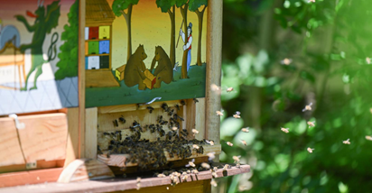 U zagrebačkom ZOO-u obilježen Svjetski dan pčela