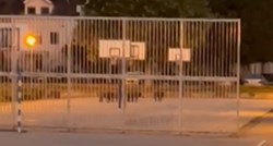 VIDEO U dvorištu škole u Zagrebu snimljene divlje svinje