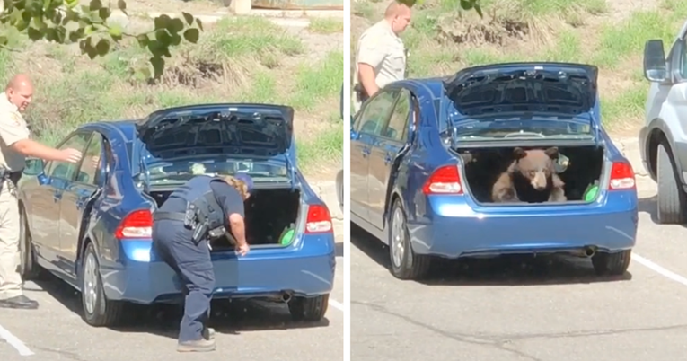 Zbog neočekivanog uljeza u automobilu, ljudi u pomoć pozvali policiju