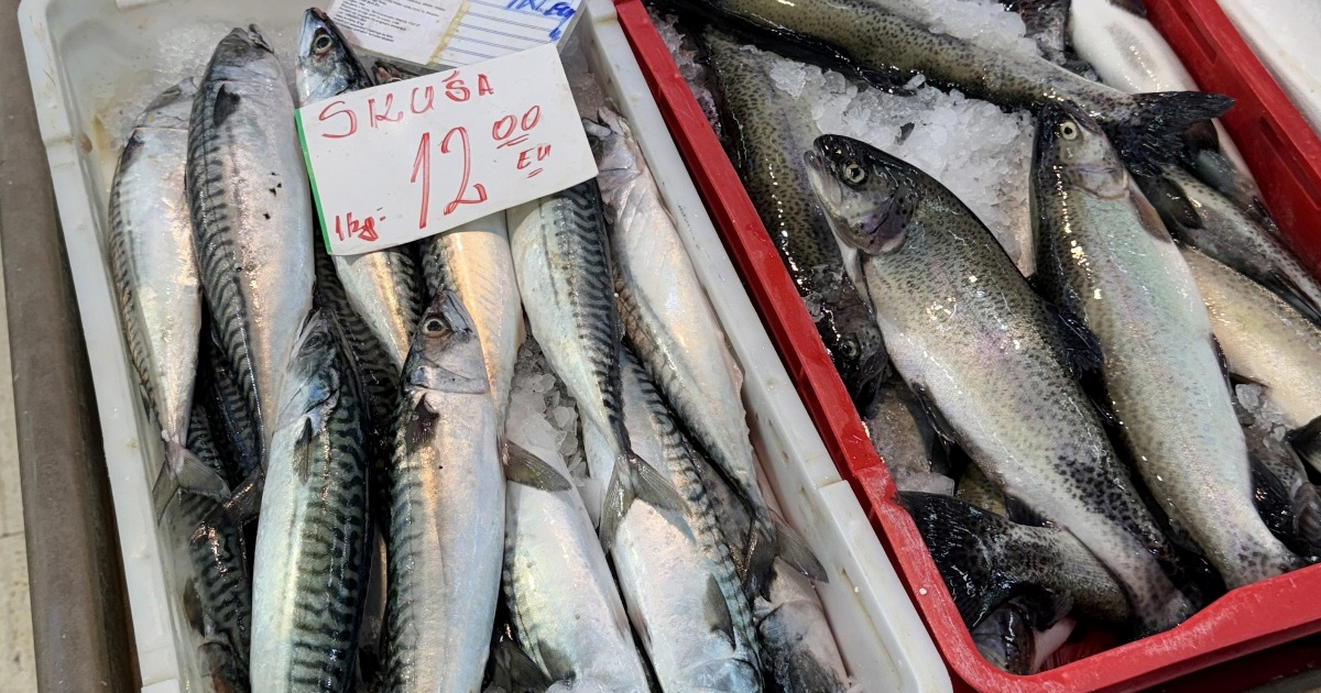 Pet namirnica koje kardiolozi preporučuju za niži kolesterol