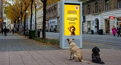 Solidarnost zavladala među psima u Hrvatskoj