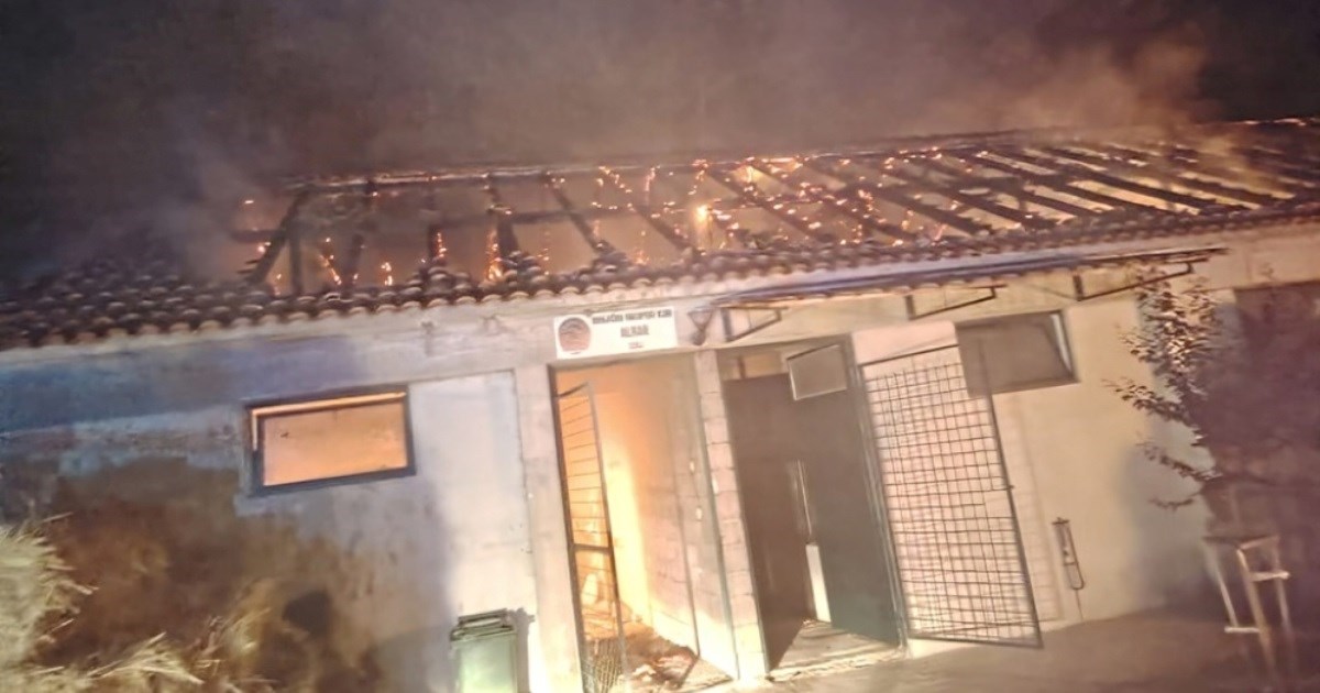 Zapalila se štala na sinjskom hipodromu, vatrogasci spasili 20 konja