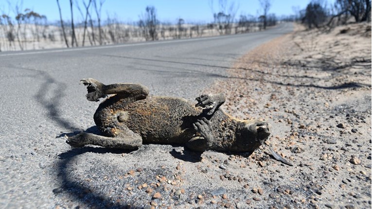 Ove jezive fotografije pokazuju Australiju prije požara i sada