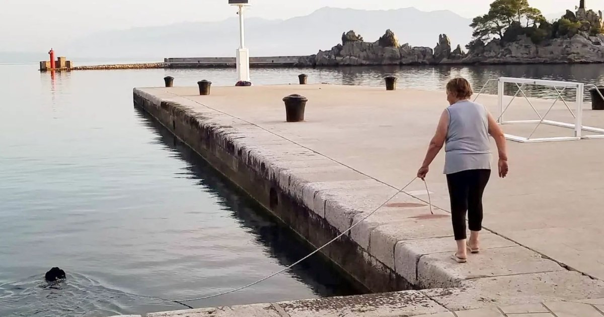 Fotka iz Dalmacije postala hit: Pas plivao u moru, a vlasnica hodala uz njega po rivi
