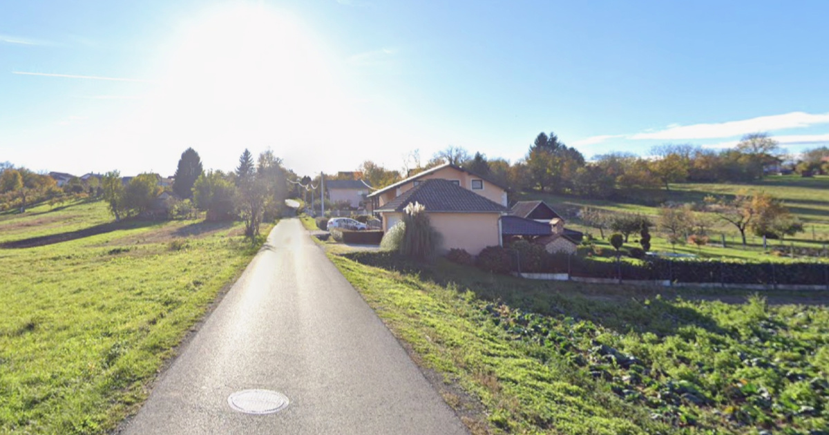 Vozač