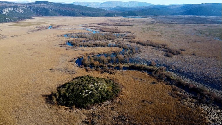 Hutovom blatu u BiH, najpoznatijoj močvari u ovom dijelu Europe, prijeti nestanak