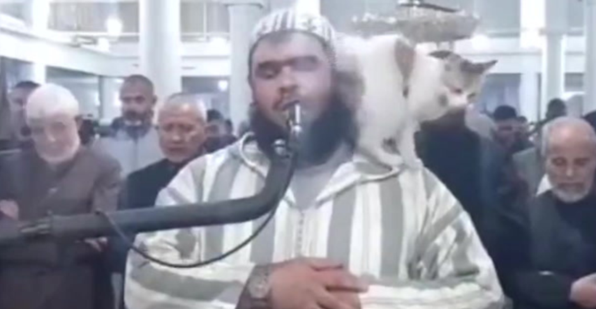 Mačka skočila na imama dok je predvodio ramazansku molitvu. Snimka je postala viralna