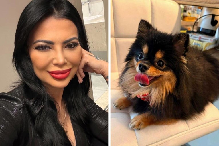 Vjekoslava Bach: Ukraden mi je pas, našla sam ga na oglasima. Neka se javi kupac