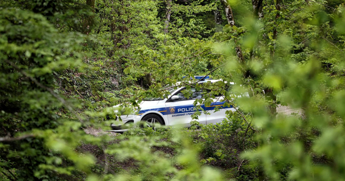 U šumi na području Jasenovca pronađen mrtav muškarac