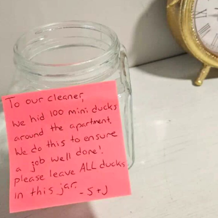 Klijentica sakrila 100 patkica da testira čistačicu. Nije prošlo dobro