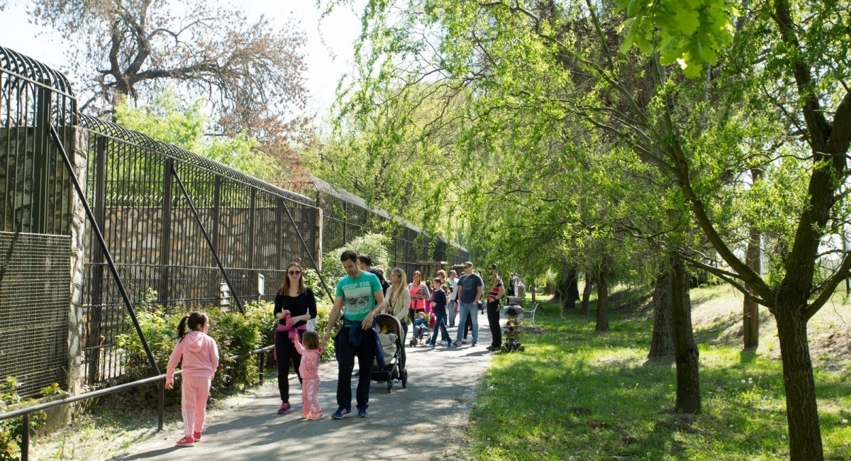 Radnik u zoološkom vrtu u Osijeku propao kroz rešetke, teško je ozlijeđen