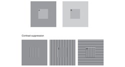 Optička iluzija otkrila kako depresija mijenja način na koji vidite svijet