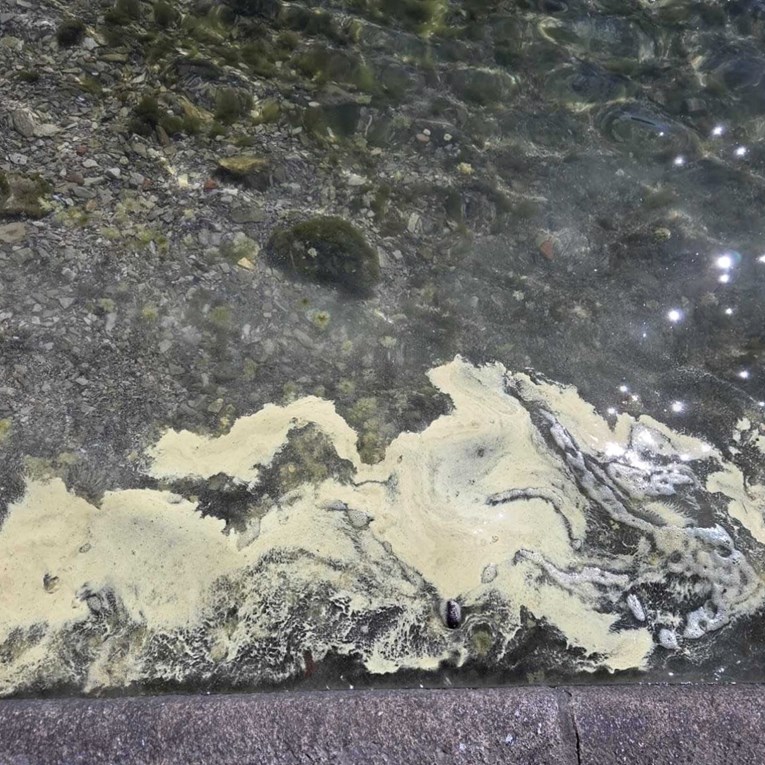 Istraživači s Ruđera objavili fotografiju mora kod Šibenika, objasnili zašto je žuto