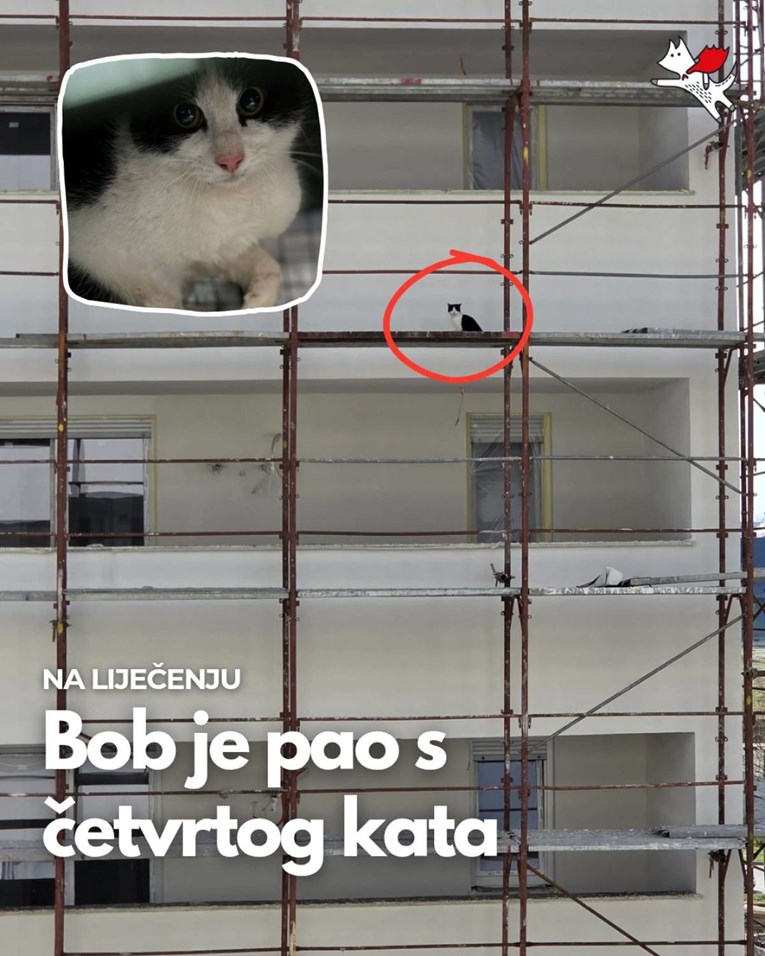 Spašen mačak koji je skočio s četvrtog kata gradilišta, sad treba pomoć
