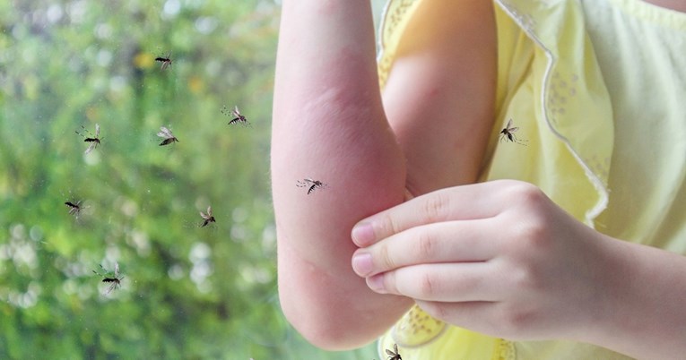 Zašto ubod komarca svrbi?
