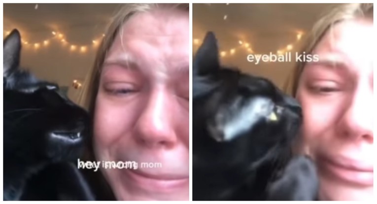 Žena snimila svoju mačku koja je pokušava utješiti dok plače, video je hit