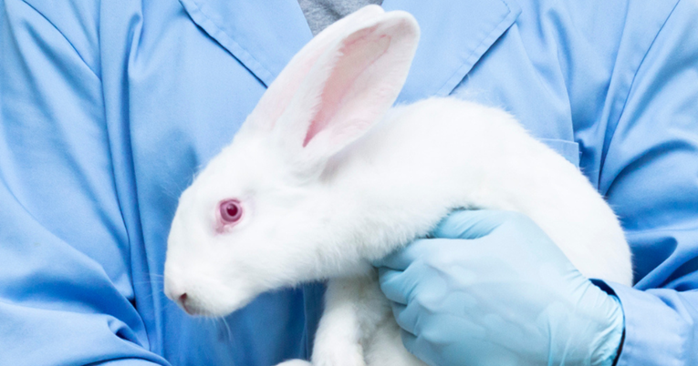 Video zečića spašenih iz laboratorija kako istražuju svoj novi dom otapa srca