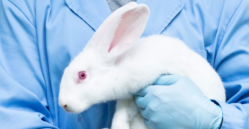 Video zečića spašenih iz laboratorija kako istražuju svoj novi dom otapa srca