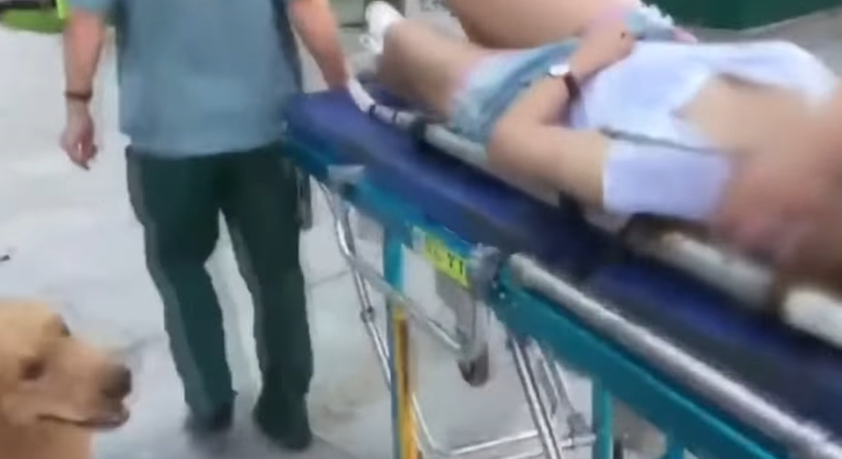 Vlasnica se onesvijestila na ulici, pas nije dopustio da hitna ode bez njega