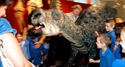 Australska država Queensland za službeni grb odabrala - dinosaura