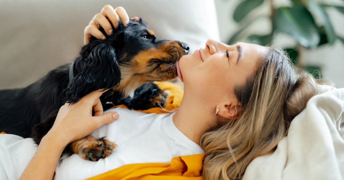 Kako znati traži li vaš pas maženje ili vas moli za pomoć?