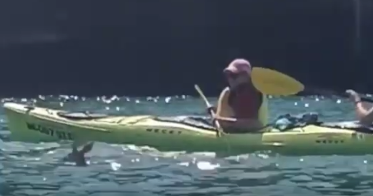Kajakaši brzom reakcijom spasili lane od utapanja u jezeru
