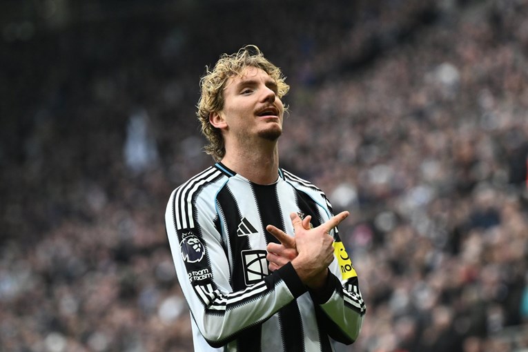 Woltemadeu, divu kojeg su doveli "idioti", vrijednost u godinu dana porasla 833 posto