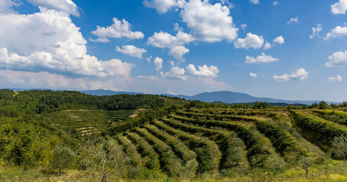 Britanci izdvojili najbolje jesenske destinacije u Europi, među njima je i Istra